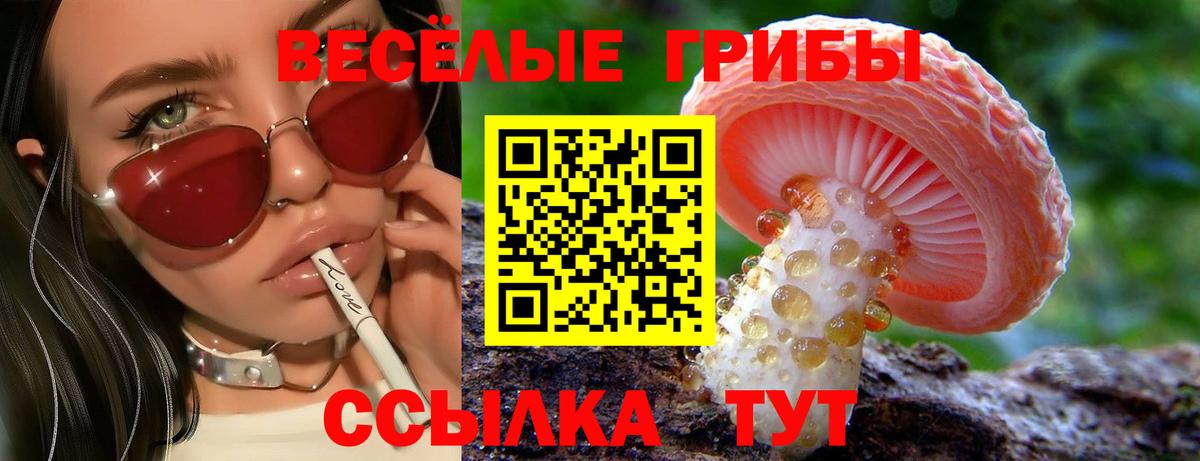 Галлюциногенные грибы Psilocybe  Псилоцибиновые грибы Cubensis  Вход с VPN  Севастополь 